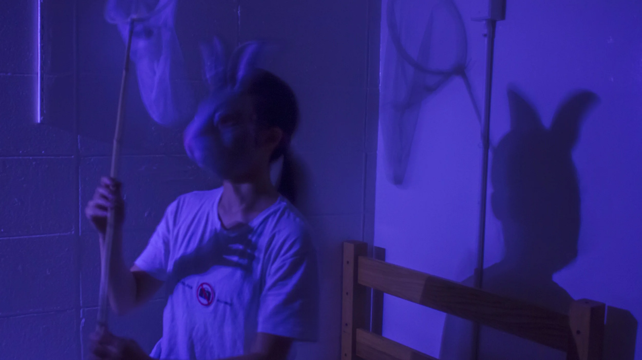 purple.jpg