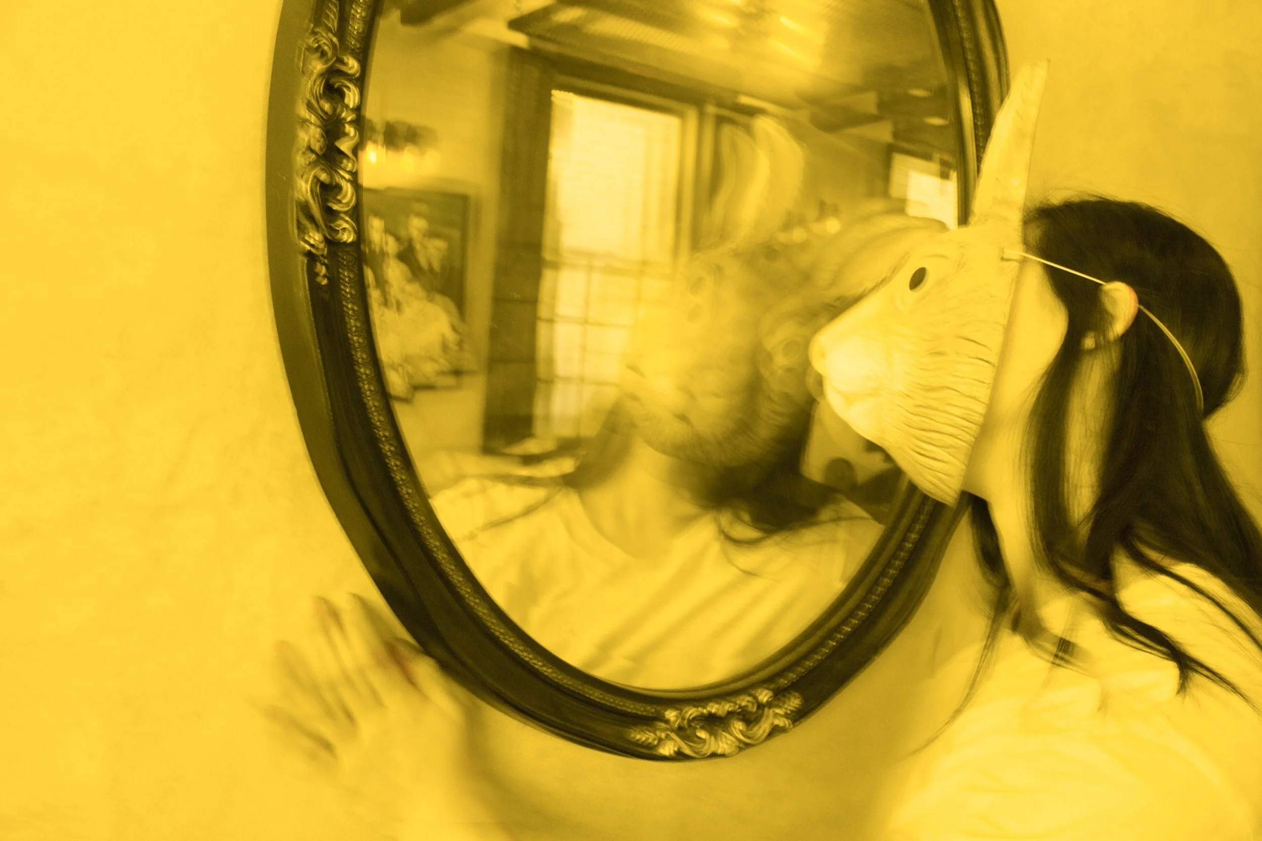 yellow.jpg