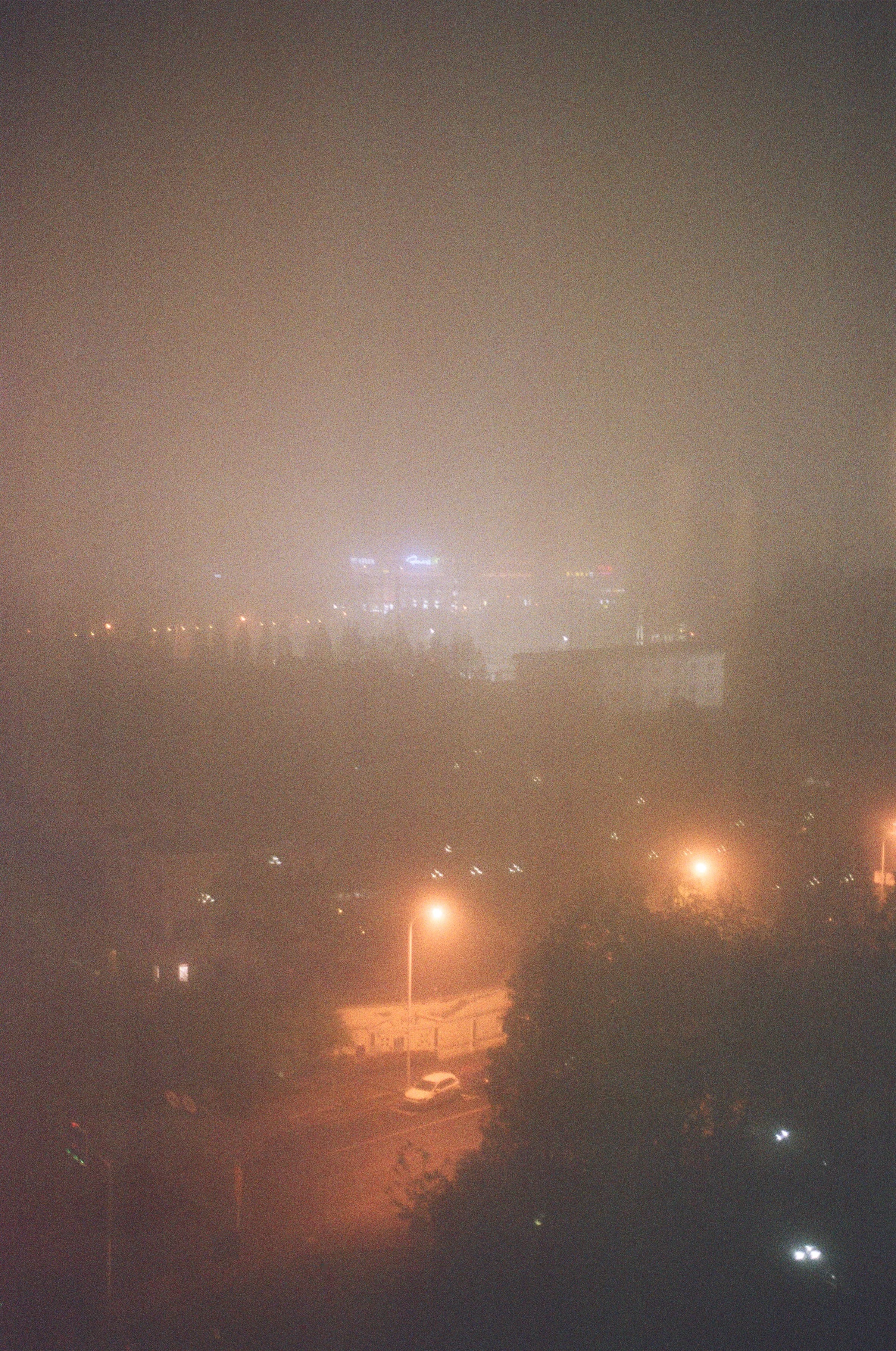12590013.JPG