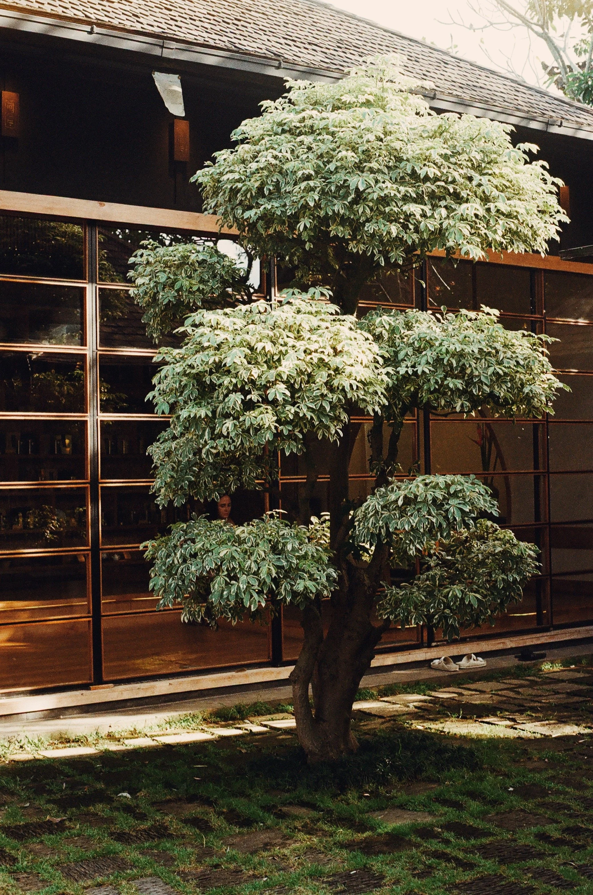 FullSizeRender_VSCO 2.JPG