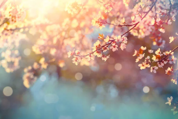 Thank you! -  A note From Quinn