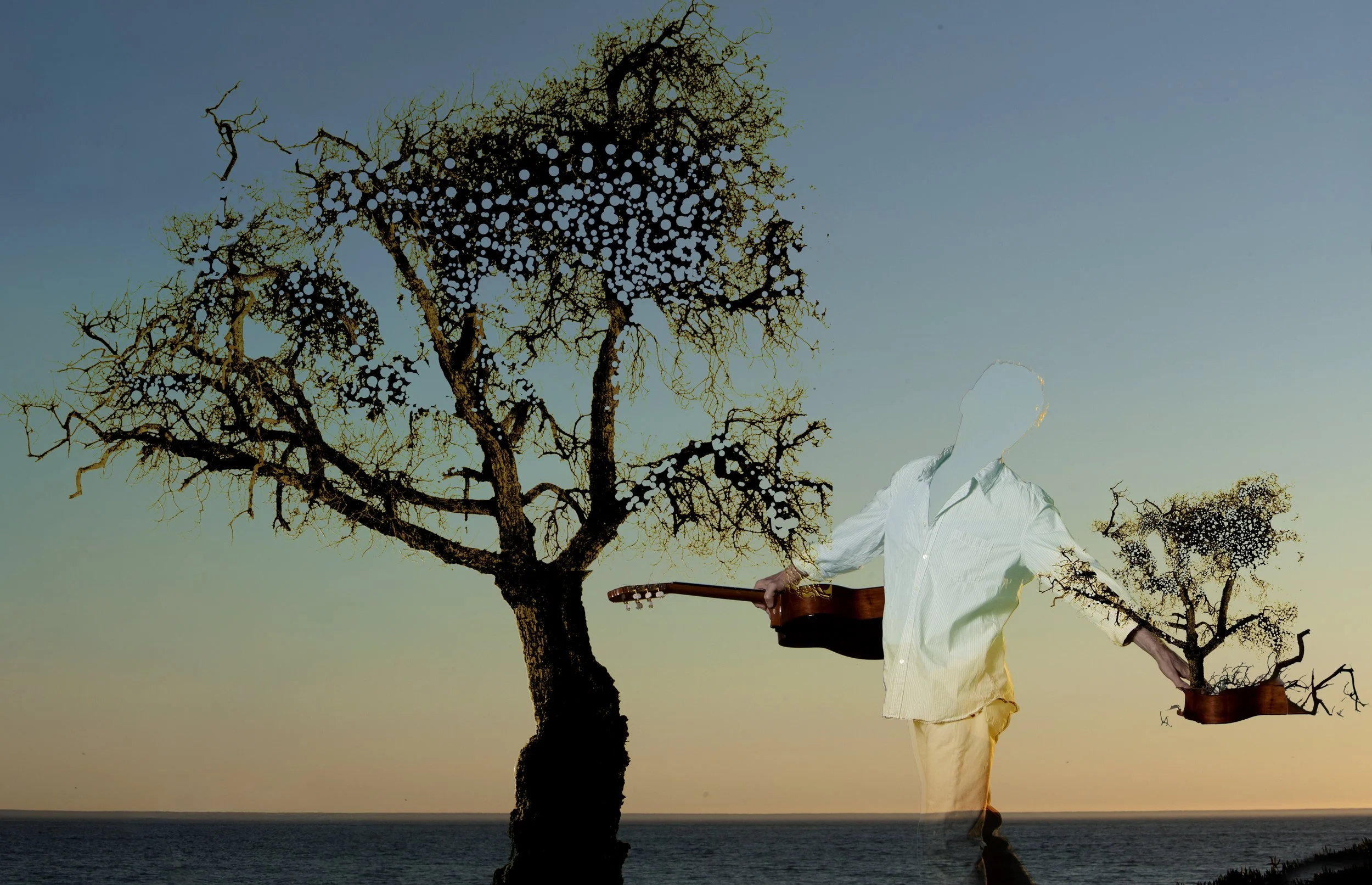 PW_gutiar tree_flat.jpg