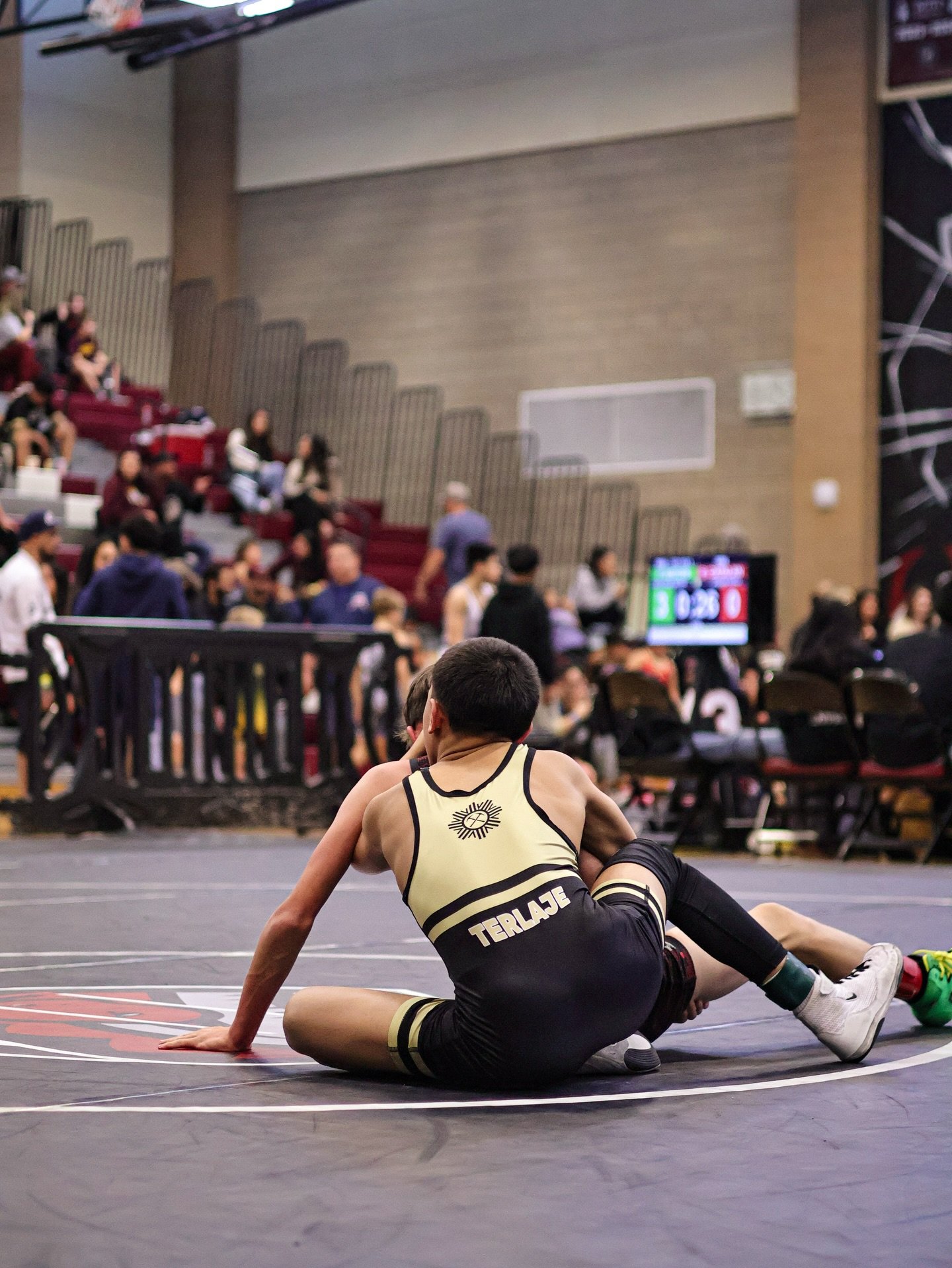 Diamondback Destroyer ✅