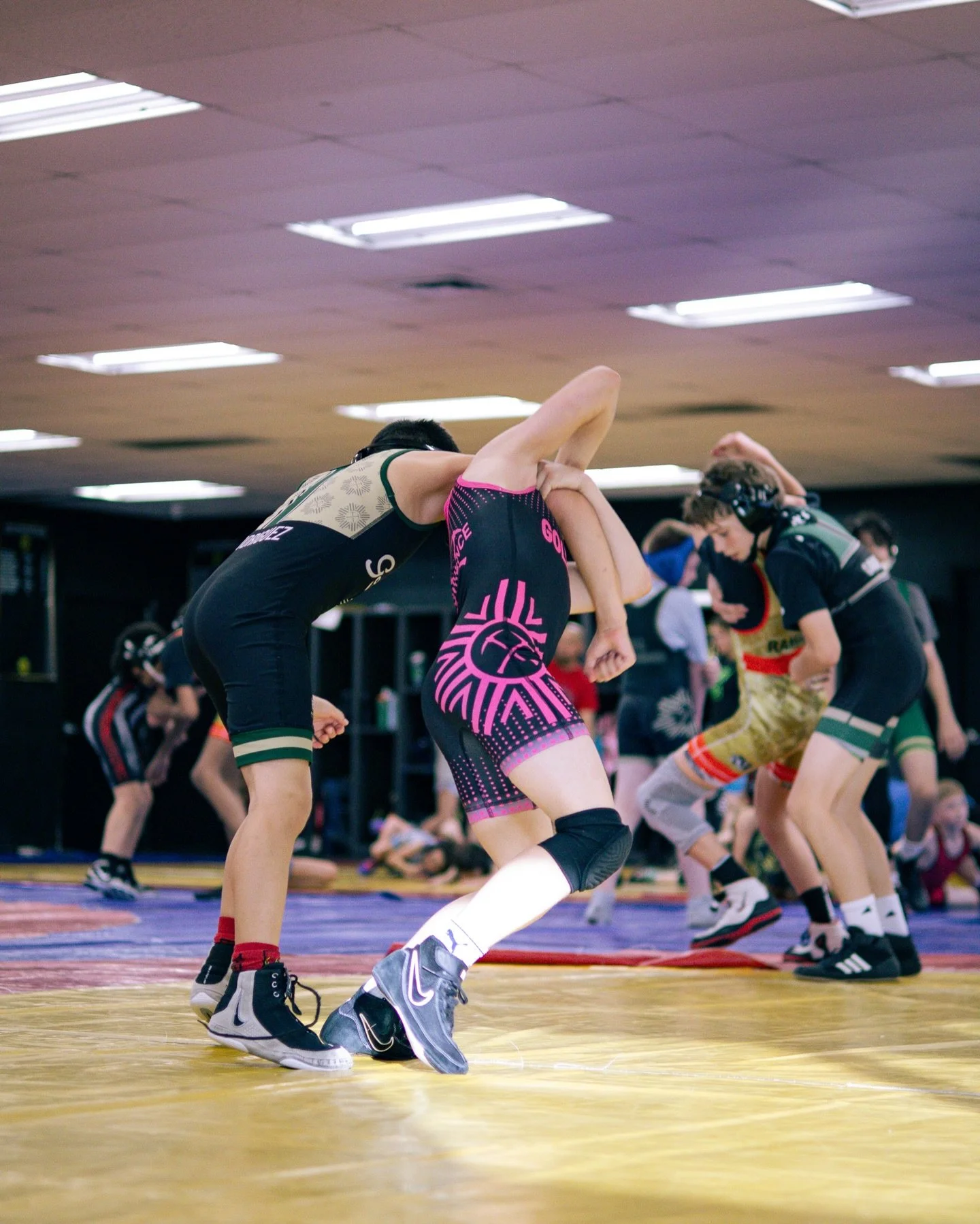 Gold Rush Airlines is back in business ✈️