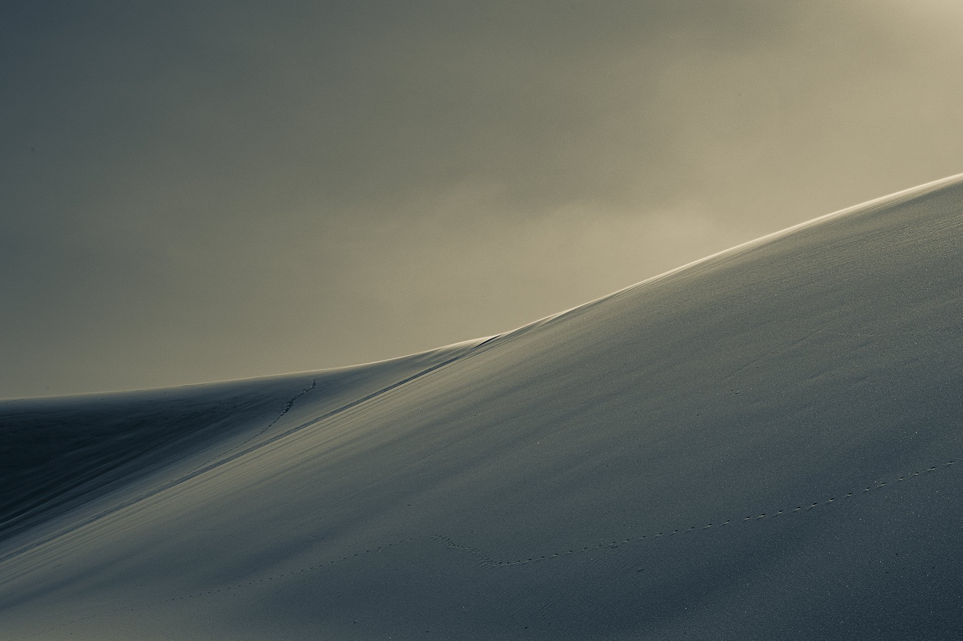 Fabien Meunier - Derriere les dunes -3.jpg