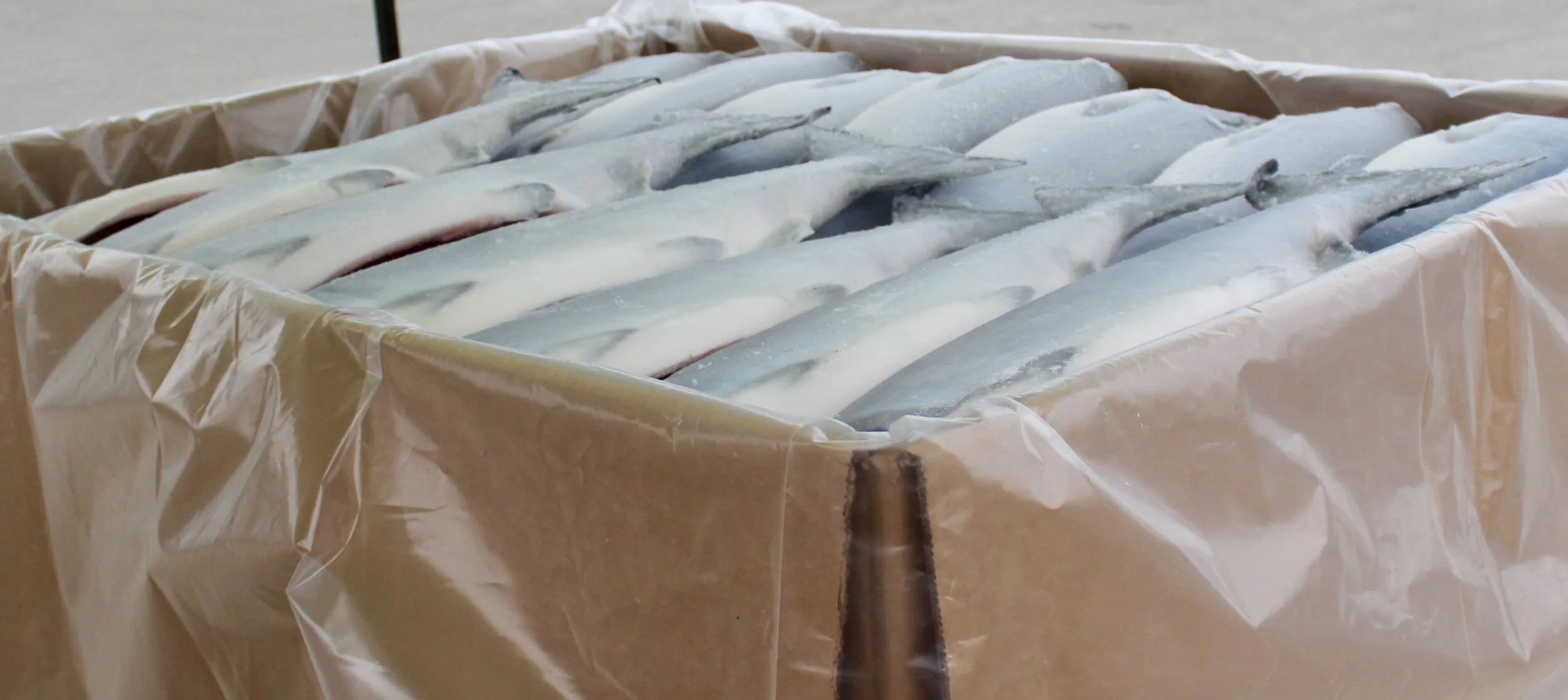 WHOLESALE 