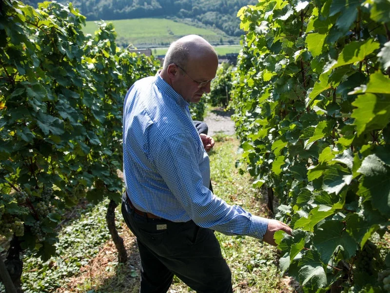 Germany-Wine-Climate+Change.jpg