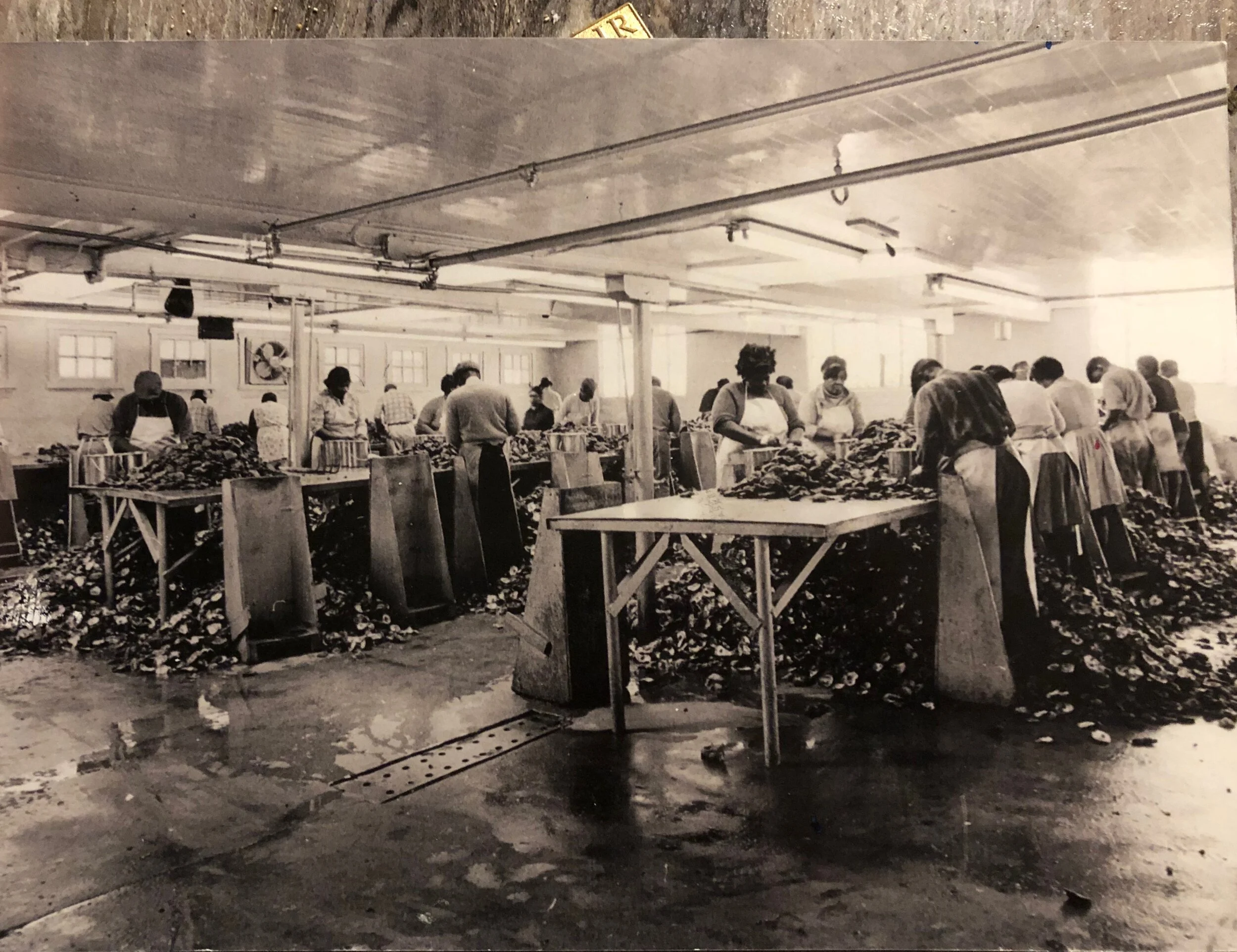 oyster-factory.JPG