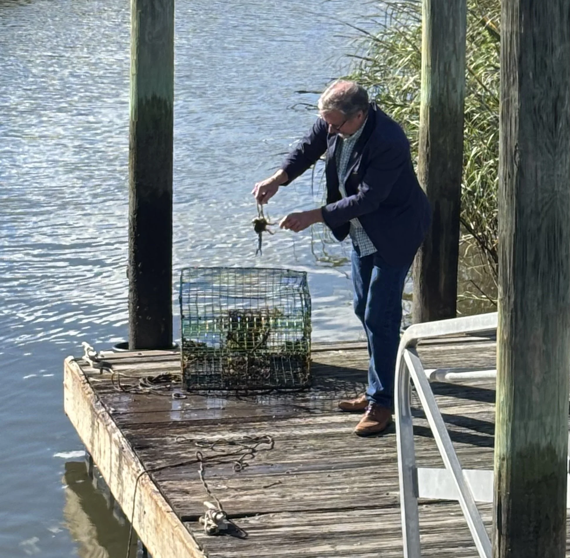 Rex with Crab pot.jpg