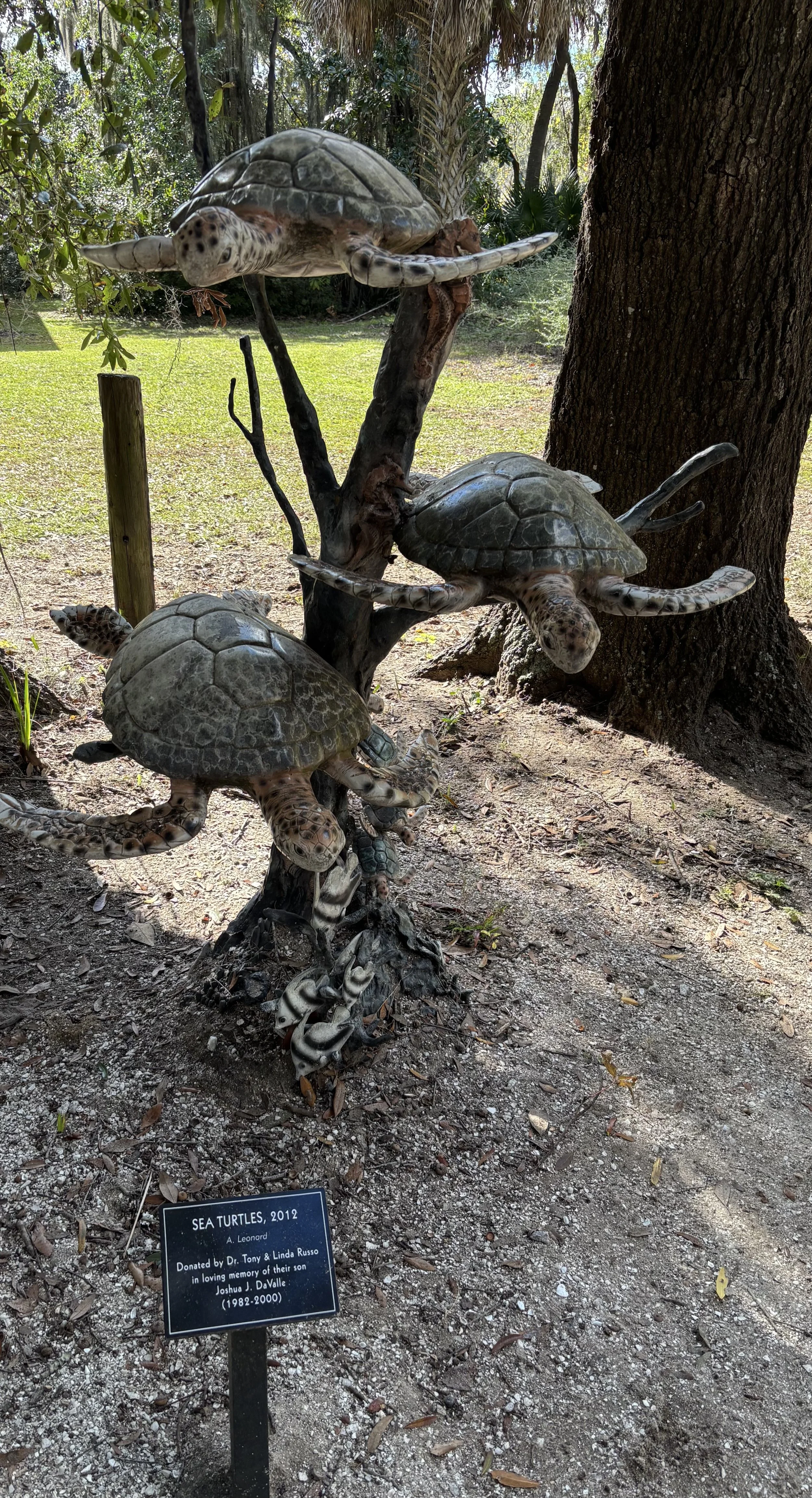 Rex turtles.jpg