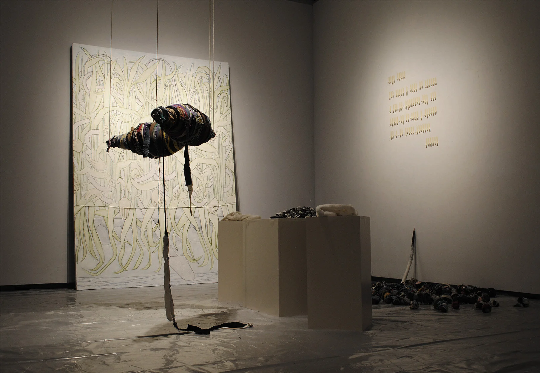 thesis install for web.jpg