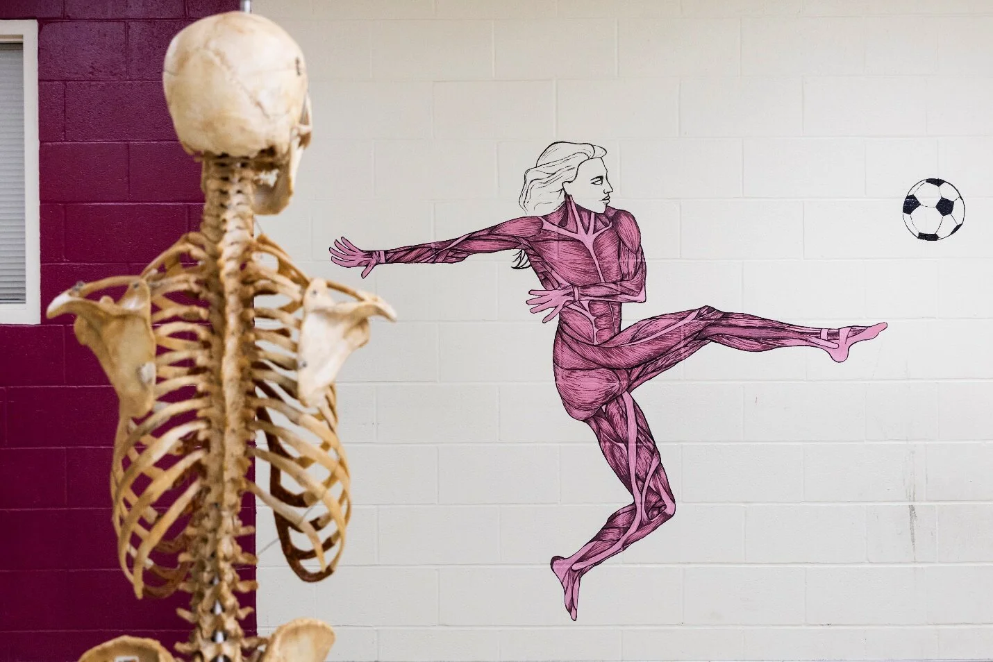 anatmural1.jpg