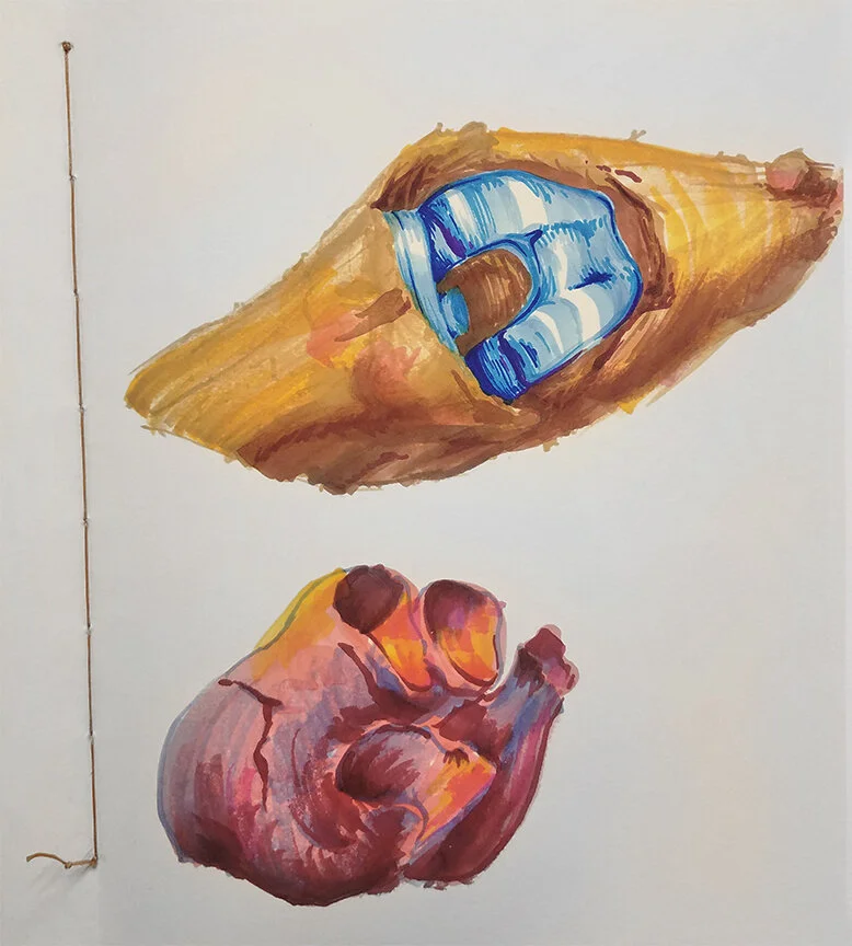 anatomy lab sketch for web.jpg