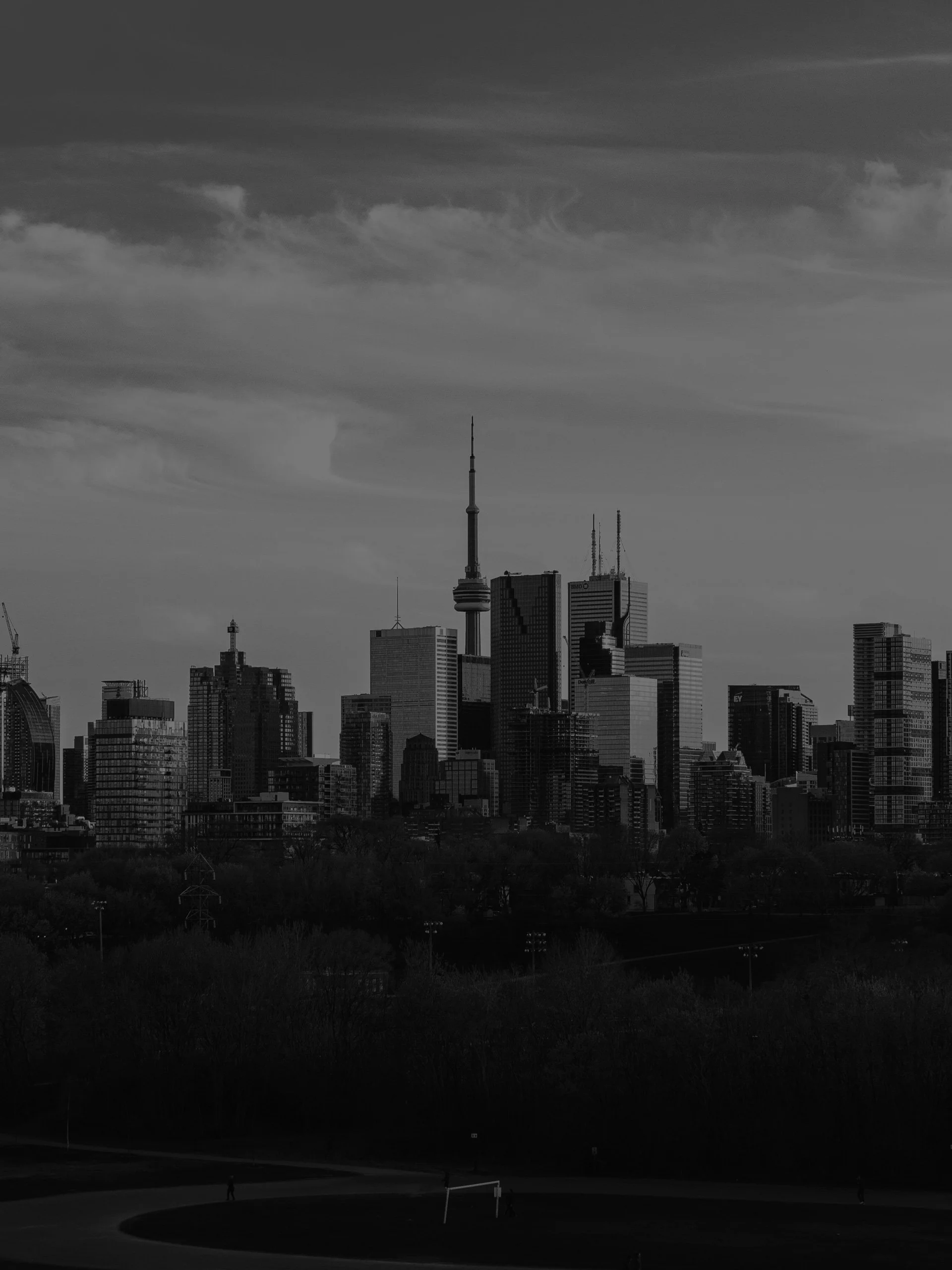 dave-xu-Bl6e8hlC3kg-unsplash-new.jpg