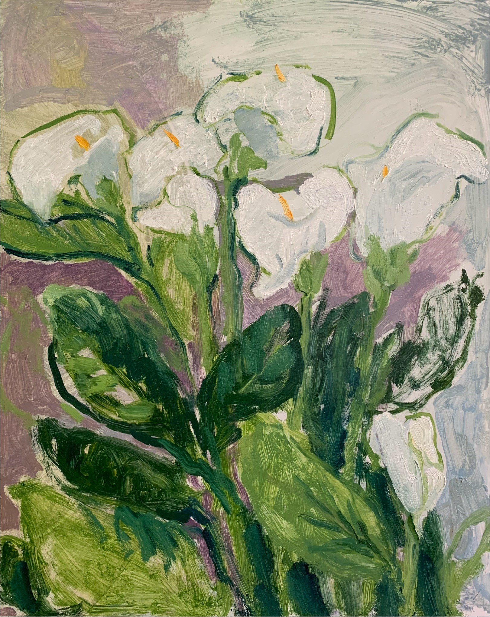 the arum lilies
