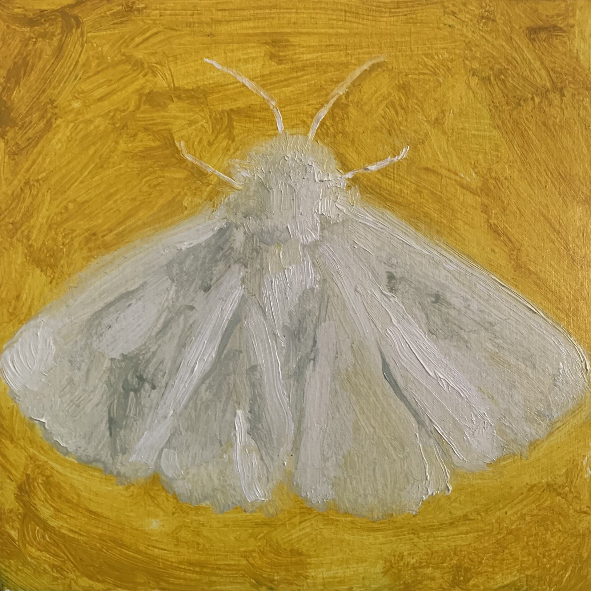 the moths iii