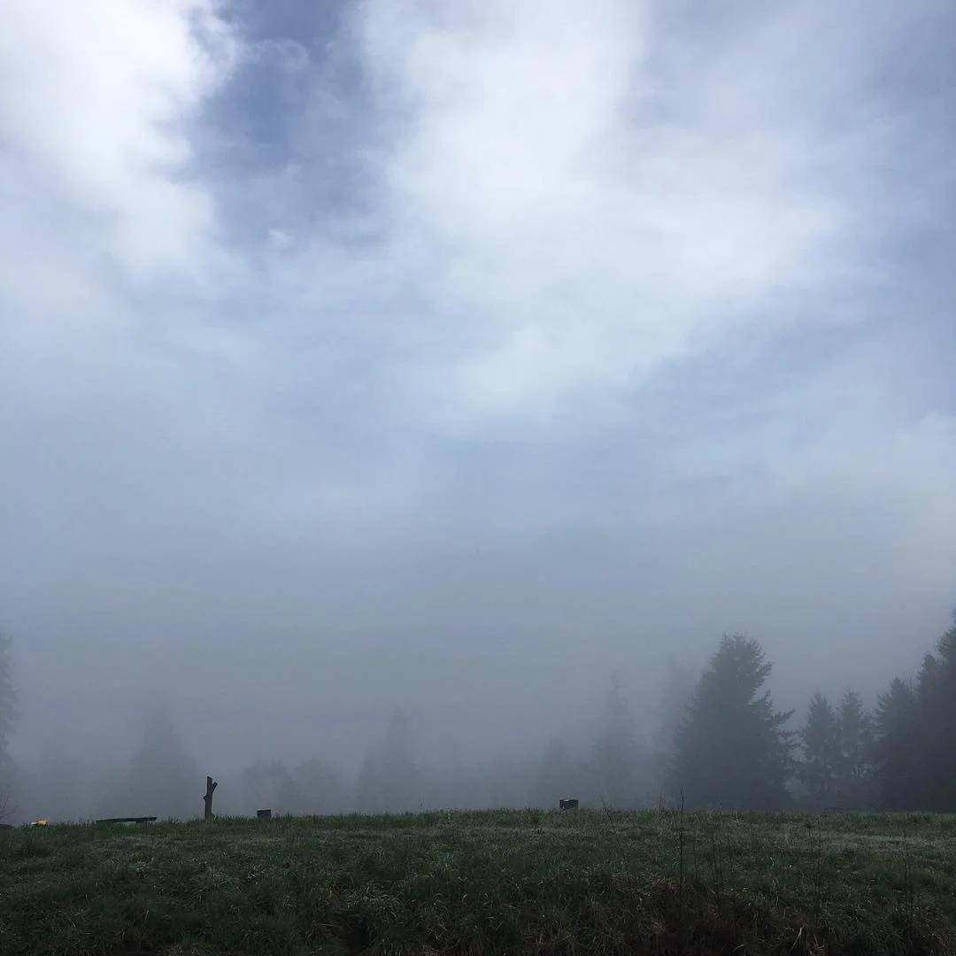 124b02c8-8b84-43b6-93b8-22e3a683cb0c.jpg