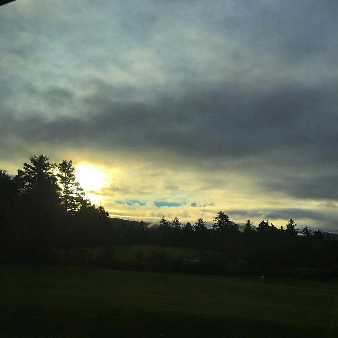 42bb9098-7703-4570-bbd9-bcf67d97e139.jpg