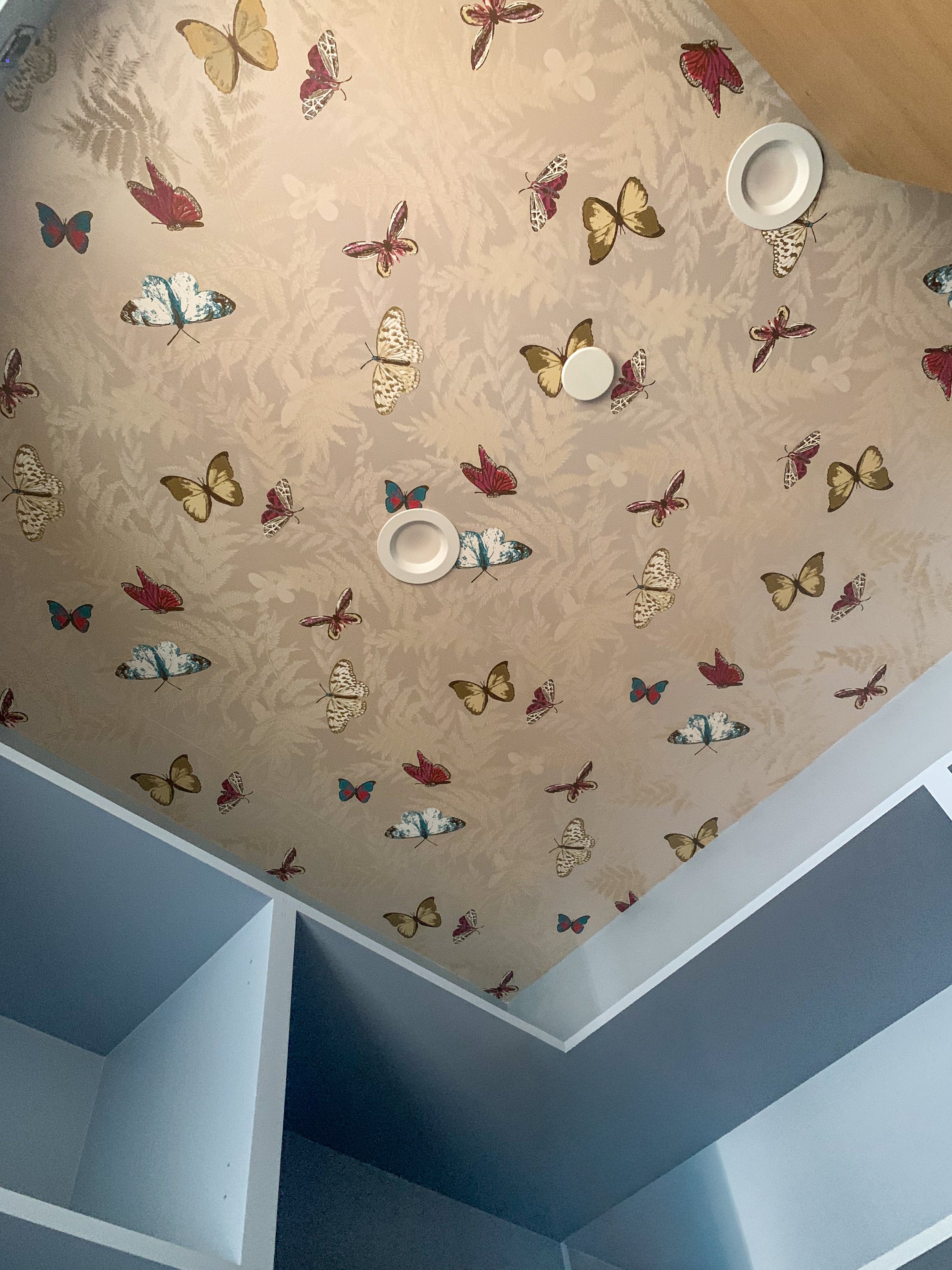 Powder blue custom walk-in pantry with butterfly and fern wallpaper pattern on the ceiling in cream, red, and gold tones.