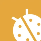 ladybug orange background.jpg