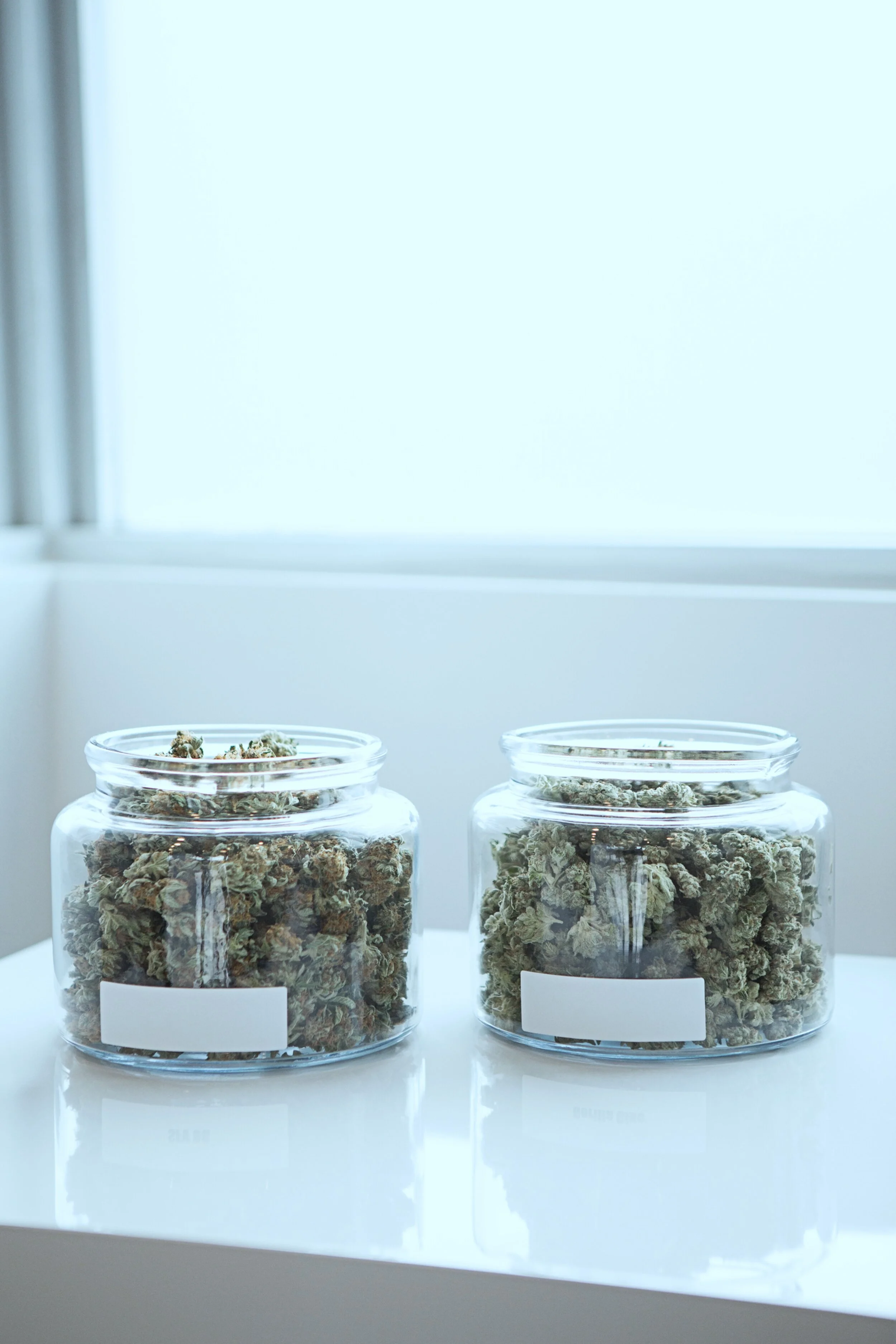 Baked DC High Quality Tree Stress Relief.jpg