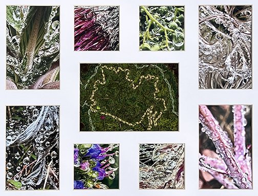 Catalina Verdugo Trail, 5-20-22