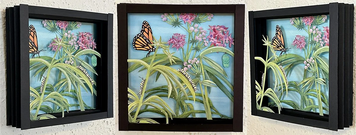 Monarchs and Milkweed, 2026