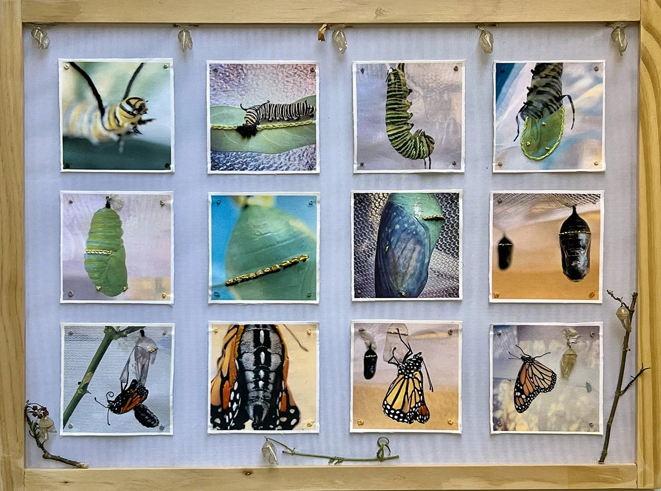 Encoding Metamorphosis, 2026 