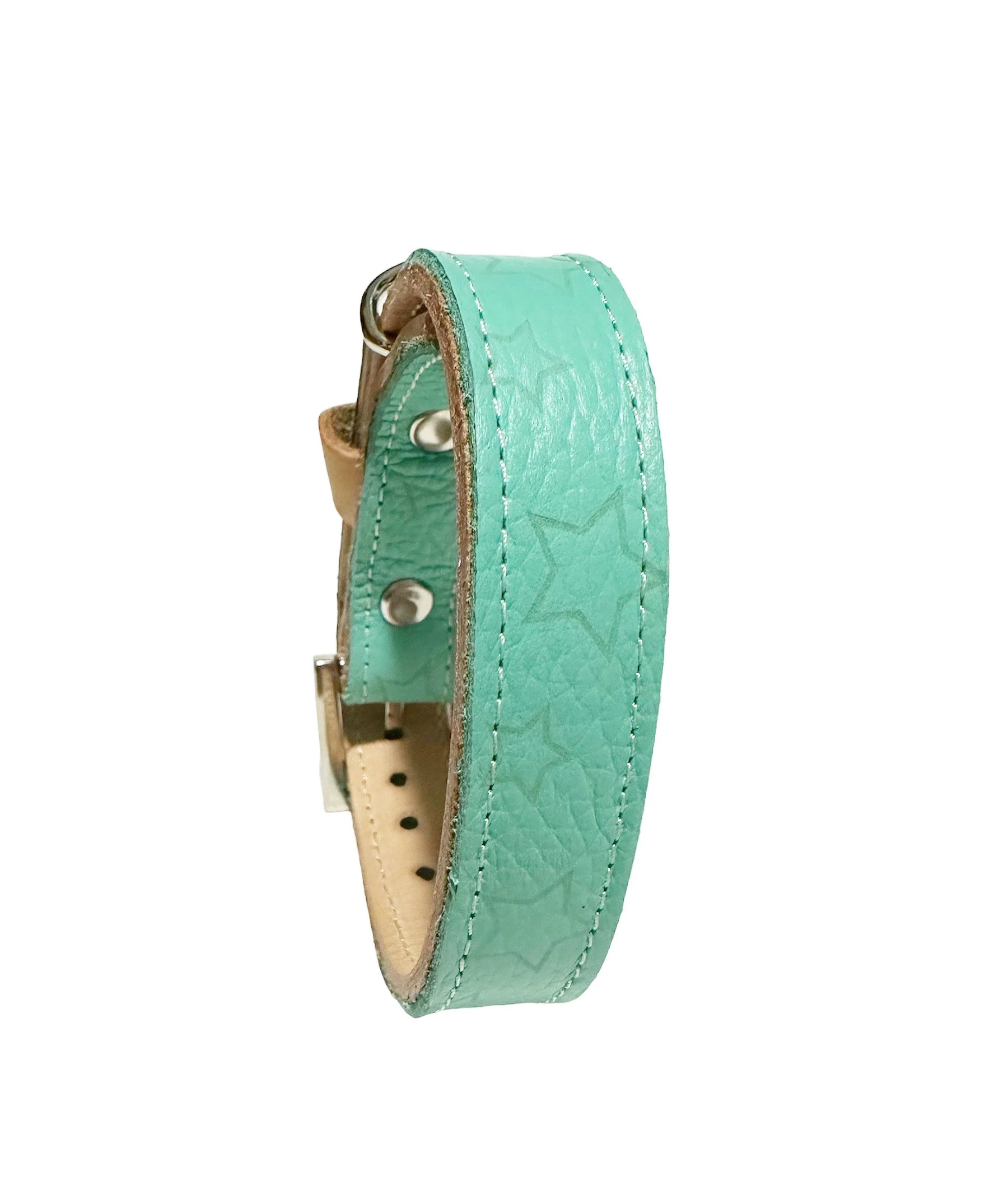 Mint green leather collar with star pattern