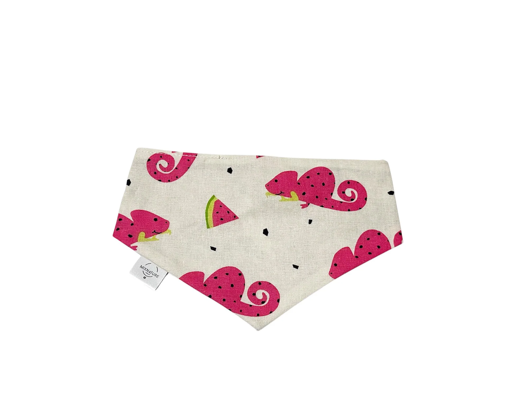 Cameleon with melon bandana