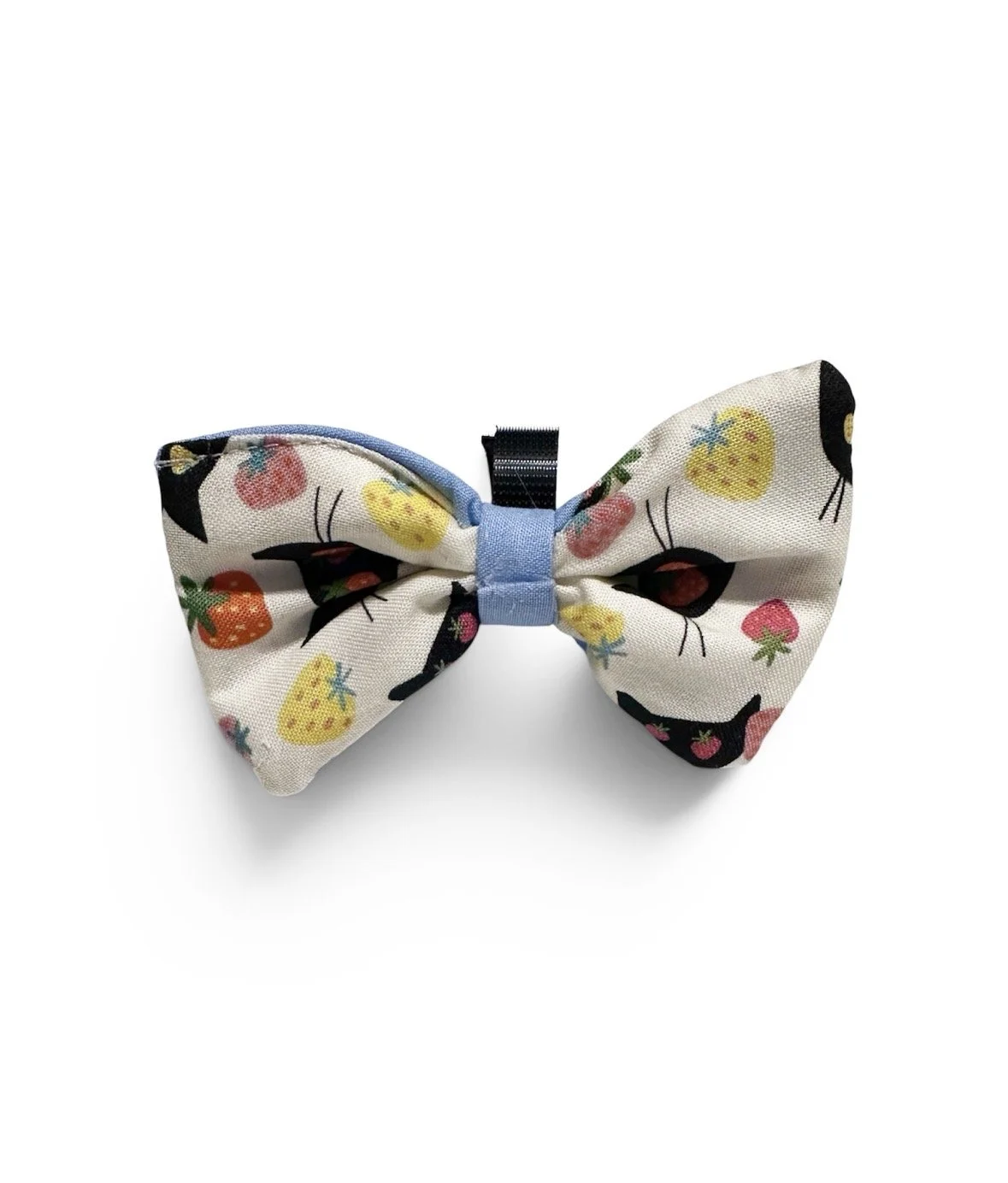 Cat with strawberries bow