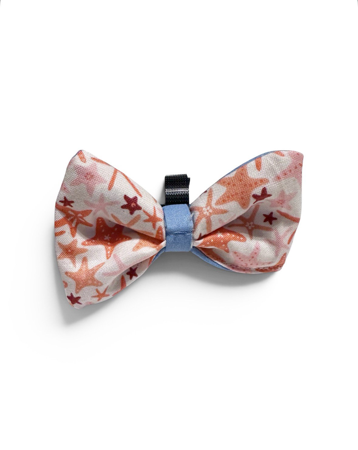 Starfish bow