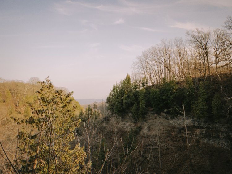 The 4 Best Beginner Friendly Film Cameras Sam S Edit By Sammi Pun