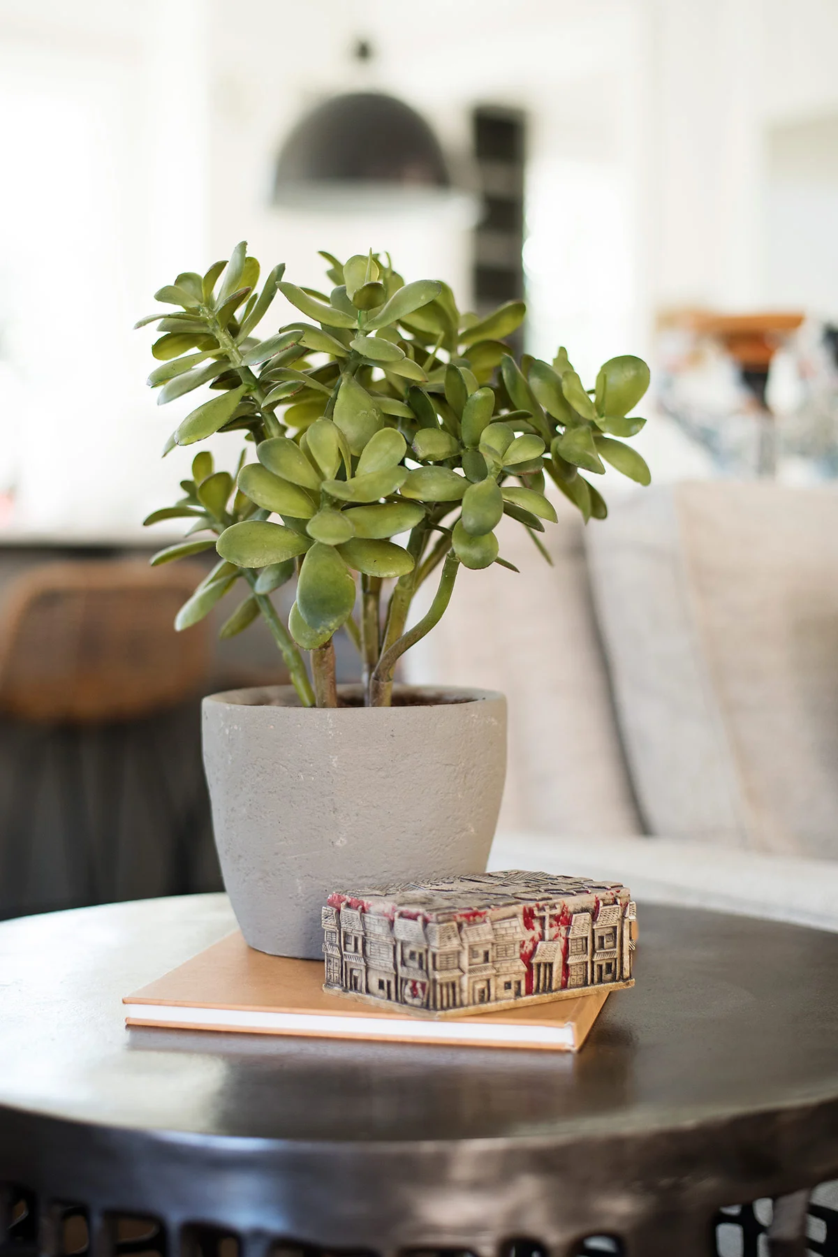 Side table with potted plant and books