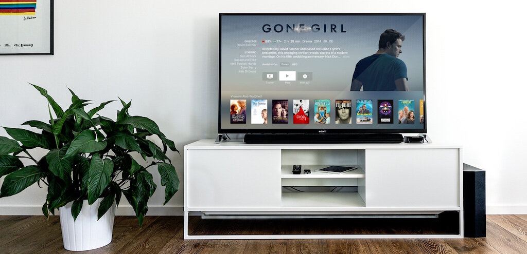 gone girl.jpeg