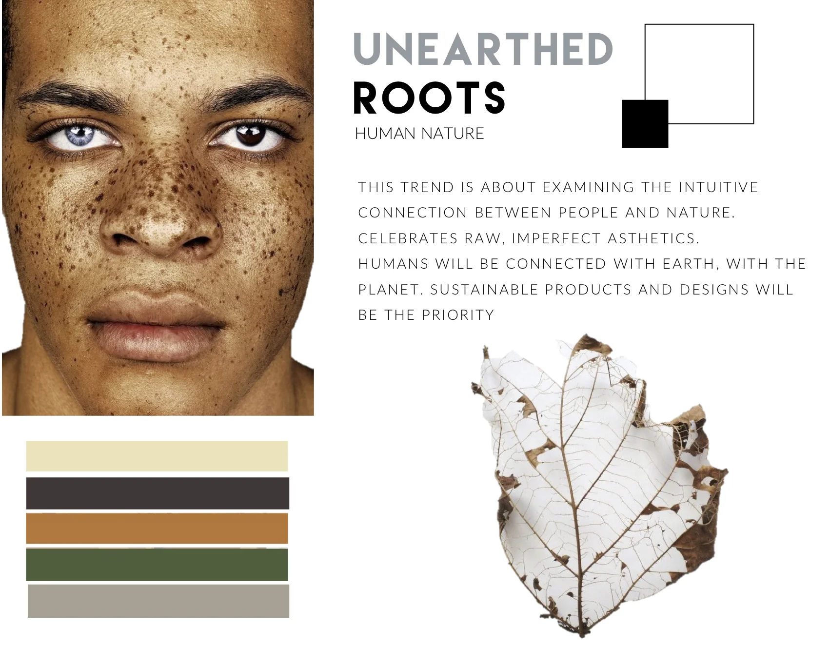 unearthed roots .jpg