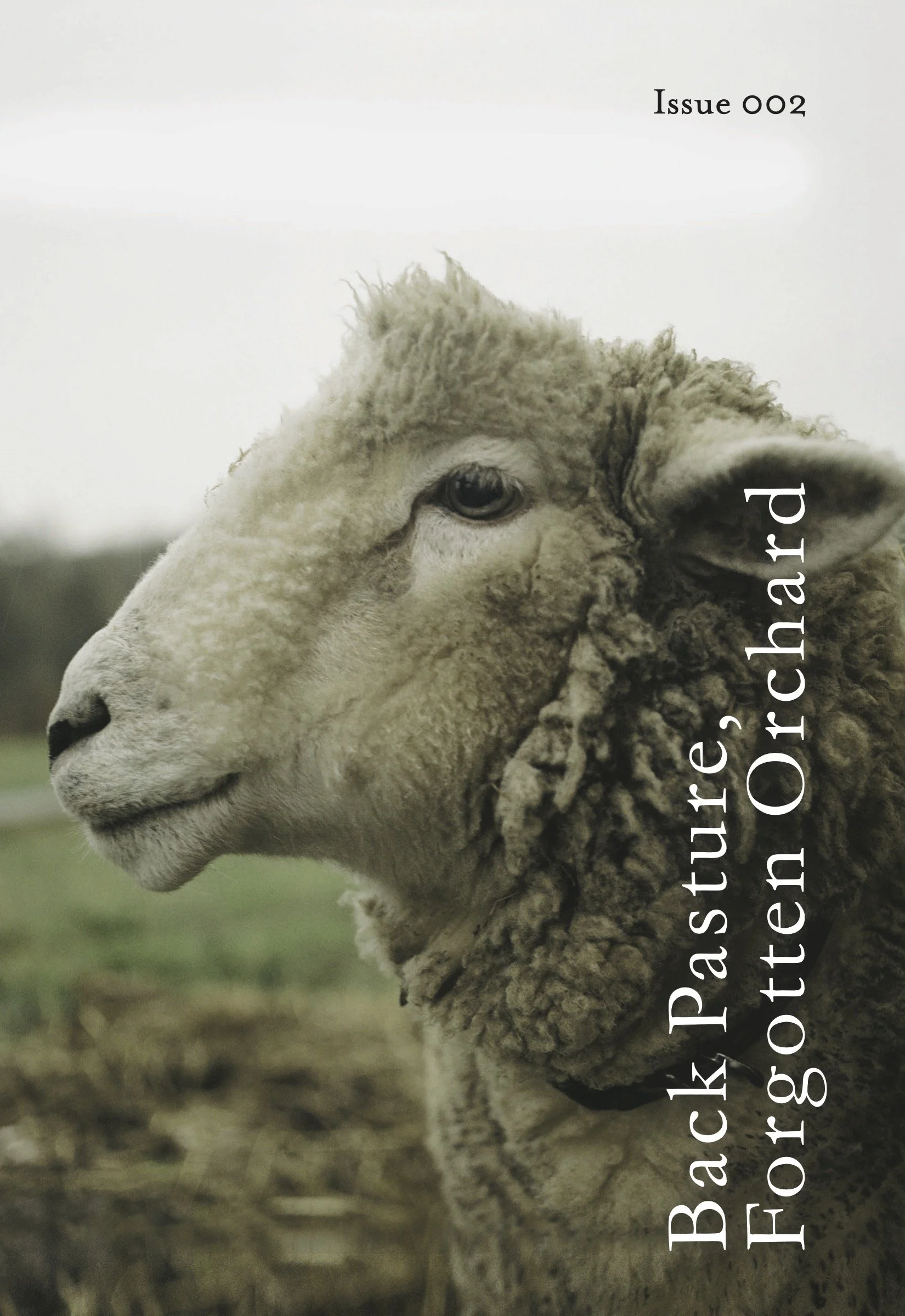 Back Pasture cover.jpg