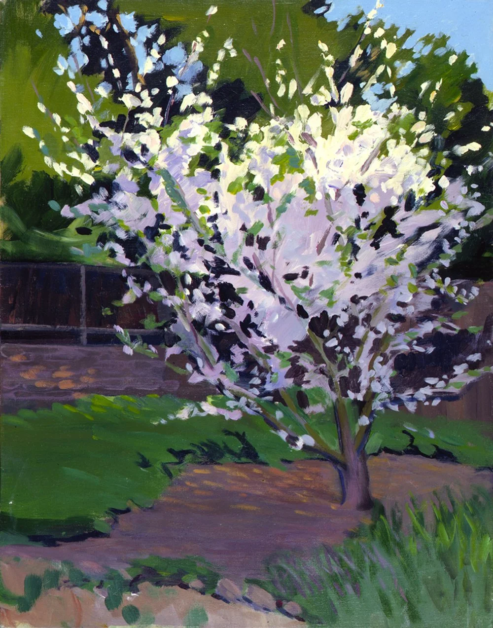  Blossoming Plum