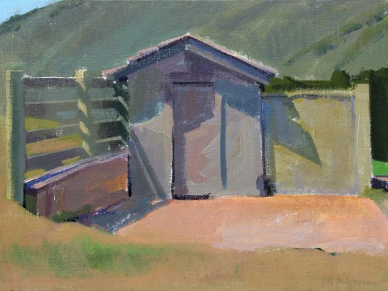 Shed &amp; Fence