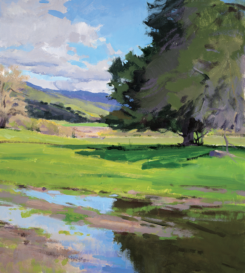 After Rain, Alamo Canyon
