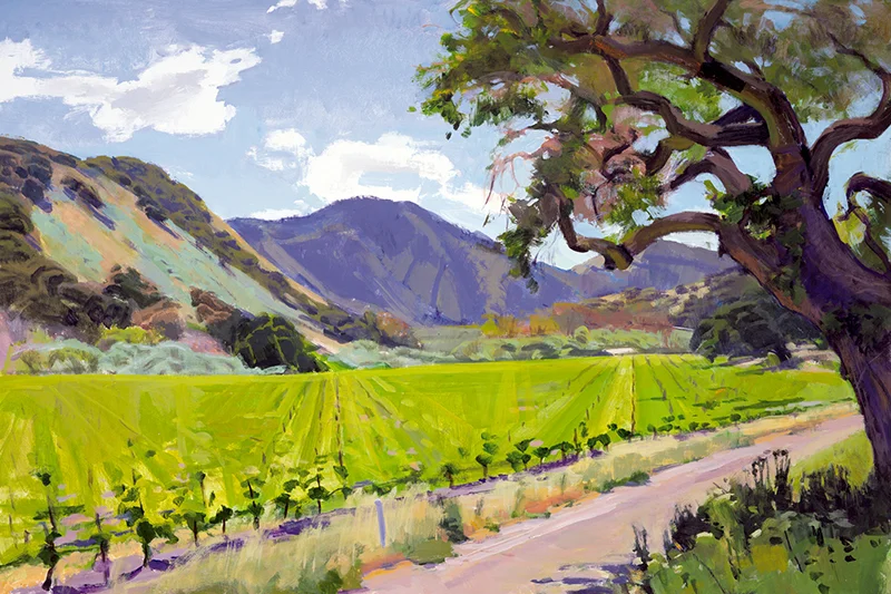 Spring, Alamo Vineyard