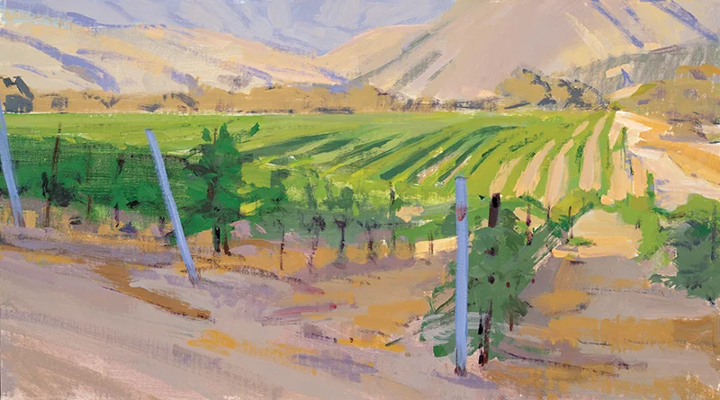 Evening, Vineyard in Alamo Canyon