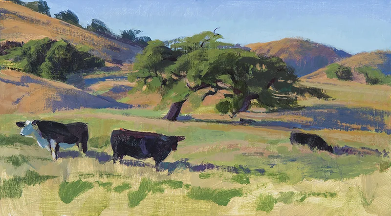 Dry Spring Pasture