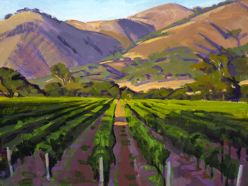 Late Sun, Alamo Vineyard