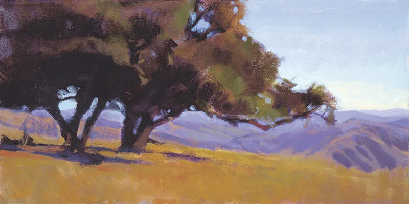 Oaks on Quail Mountain