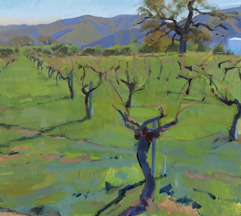 Winter Vineyard