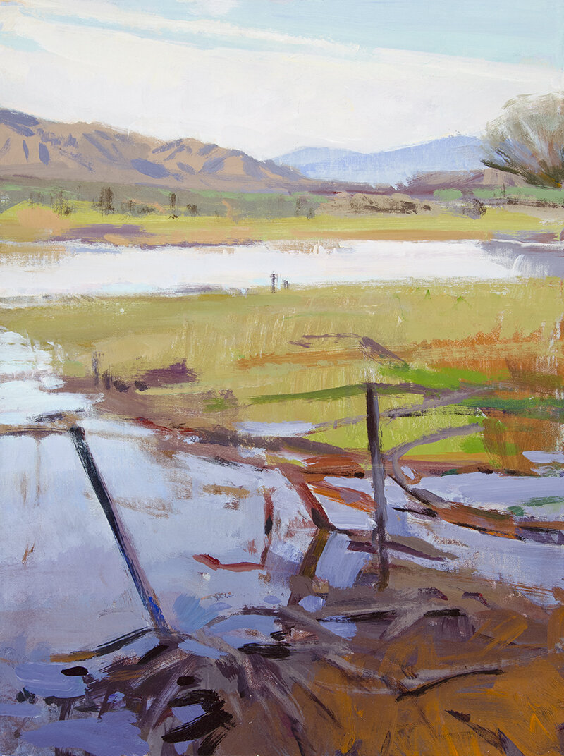 Overcast, Caliente Ranch