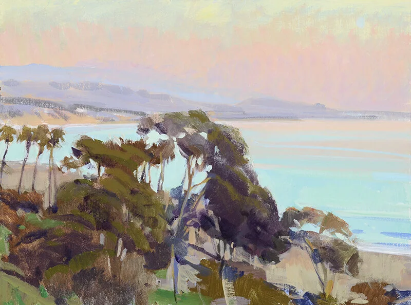 Evening Light, Palms &amp; Eucalyptus