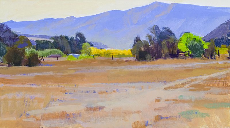 Paths in the Field (Sedgwick Reserve)