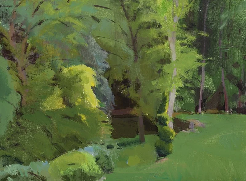 Pond in the Woods